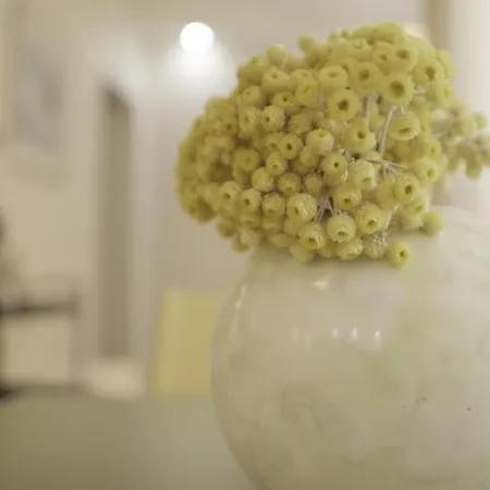 Class Bed and Breakfast